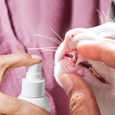 Thumbnail 8: Tierliebhaber Dentalspray für Katzen - Gesunde Zähne & frischer Atem. Mit probiotischen Mikroorganismen gegen Zahnbelag