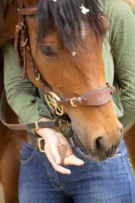 Thumbnail 3: winnies® winnies® Trojaner