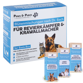 Paws & Patch Blütenmischung nach Dr. Bach 3er Basis-Box für REVIERKÄMPFER & KRAWALLMACHER