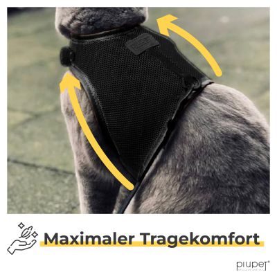 Thumbnail 6: PIUPET Katzengeschirr mit 1,2m Leine I Ausbruchsicher I Katzenleine mit Geschirr für Katzen I Schwarz (S)