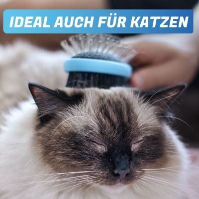 Thumbnail 4: BluePet 'DoppelDecker' Doppelbürste für Hunde und Katzen (doppelseitig nutzbar), beidseitig sanfte Fellpflege - zweiseitige Nutzung, 2in1