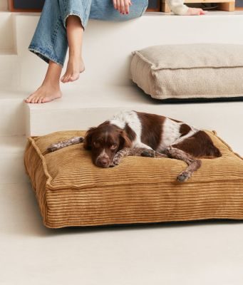 Thumbnail 9: CAFIDE Hundebett, Cuadra