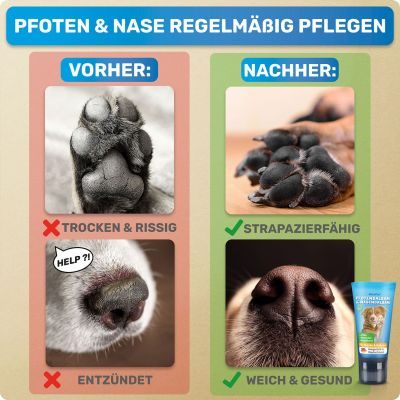 Thumbnail 5: BluePet Pfotenbalsam & Nasenbalsam für Hunde