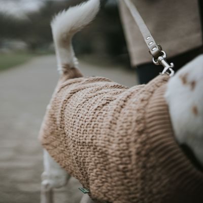 Thumbnail 7: HUNTER Hundepullover Malmö 40, beige
