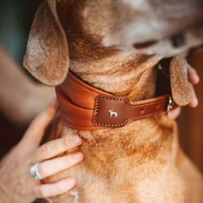 Thumbnail 10: HUNTER Ergonomisches Halsband Arvika S (40), cognac/schwarz