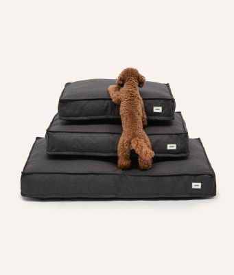 Thumbnail 5: CAFIDE Hundebett, Cuadra