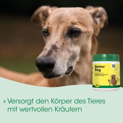 Thumbnail 3: cdVet SeniorDog 600 g – Natürliche Unterstützung für Hunde im besten Alter