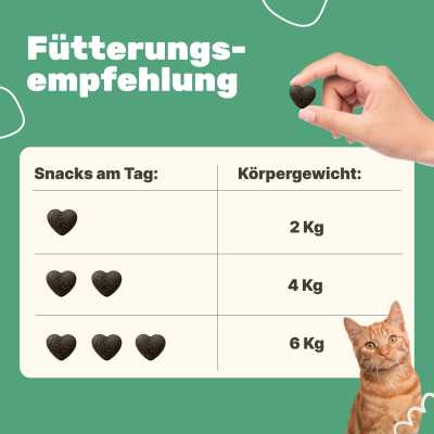 Thumbnail 3: Patsli Ergänzungsfuttermittel zur Unterstützung von Entspannung und emotionaler Balance bei Katzen in stressigen Situationen