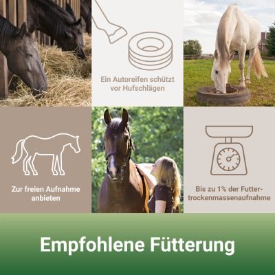 Thumbnail 3: PANTO Mineralleckschale für Pferde 10kg