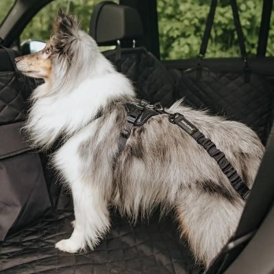 Thumbnail 5: Rudelkönig Hundegurt, Sicherheitsgurt Hund Auto 60-80cm Anschnallgurt elastisch