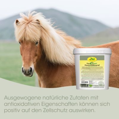 Thumbnail 3: cdVet EquiGreen HuminoMineral 4 kg – Mineralergänzungsfuttermittel mit HuminoMin-Komplex® für Pferde