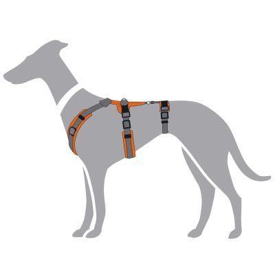 Thumbnail 4: HUNTER Sicherheitsgeschirr Maldon mit Griff M, orange/grau