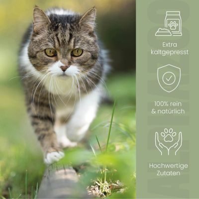 Thumbnail 2: ALPHAZOO Hanföl für Katzen