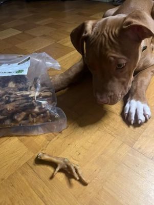 Thumbnail 7: kauartikel.com Hühner-Füße - Hunde-Kauartikel - Hunde-Snack - Kausnack aus Huhn - Geflügel-Leckerli