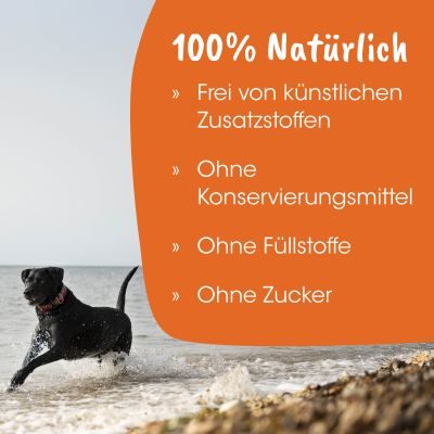 Thumbnail 3: petGelato HägenRübli 150 g – Die natürliche Eis-Alternative für Hunde, Katzen & Pferde