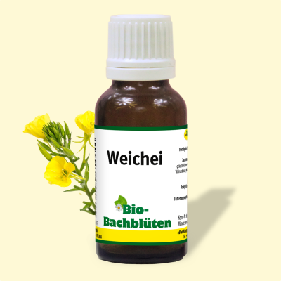 Thumbnail 2: cdVet Bio-Bachblüten Weichei 20 ml – Ergänzungsfuttermittel für sensible Hunde, Katzen & Pferde
