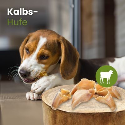 Thumbnail 2: kauartikel.com Kalbs-Hufe - Hunde-Kauartikel - Hunde-Snack - Kausnack - Kälber-Leckerli  (Rind)