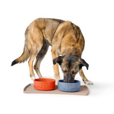 Thumbnail 9: HUNTER Keramik-Napf Osby Glazed350 ml, orange