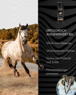Thumbnail 5: Hoofgold HCE Hufreinigungs-Emulsion für Pferde - Ideal zur täglichen Reinigung & Pflege der Hufe - 250 ml