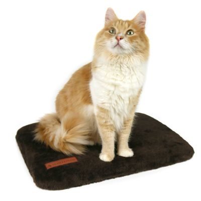 Thumbnail 11: SCHLITZOHR Fensterbankliege Teddy (grau)