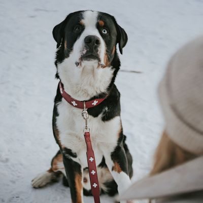 Thumbnail 11: HUNTER Halsband Swiss XL (75), rot/schwarz