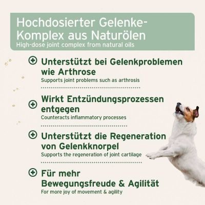 Thumbnail 7: AniForte AniForte® plus Arthro Omega Öl