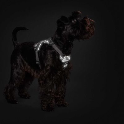 Thumbnail 6: HUNTER Geschirr Divo Reflect S, schwarz/grau