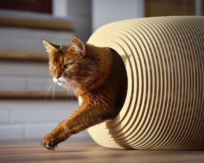 cat-on BILLE, runder Katzenkorb mit Katzenhöhle