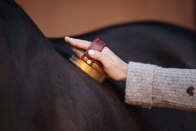 Thumbnail 4: Equimour Metall-Striegel "AIK"