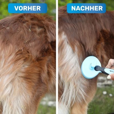 Thumbnail 2: BluePet Selbstreinigende Zupfbürste, Hundebürste & Katzenbürste für Langhaar, ZupfZeug mit Reinigungsknopf für die tägliche Anwendung im Fellwechsel