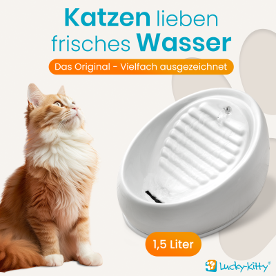 Thumbnail 9: Lucky-Kitty Keramikbrunnen + Premium-Zubehoer