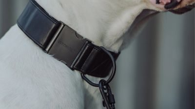 Thumbnail 10: Vitomalia VitomaliaPiñatex Luxus-Hundehalsband aus nachhaltiges Ananas-Leder in Schwarz