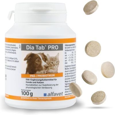 Thumbnail 1: alfavet Dia Tab PRO Prä- & Probiotika zur Stabilisierung der Verdauung – Leckere Kautabletten mit Bentonit zur Unterstützung der Darmflora für Hunde und Katzen 100 g