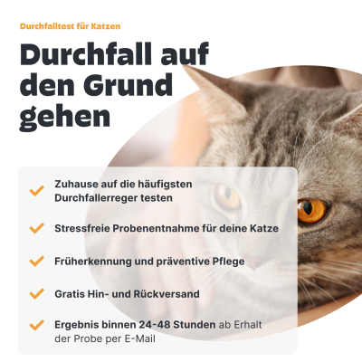 Thumbnail 5: Pezz Katzen Durchfalltest | Durchfallerreger testen, richtig behandeln