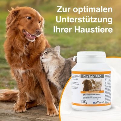Thumbnail 2: alfavet Dia Tab PRO Prä- & Probiotika zur Stabilisierung der Verdauung – Leckere Kautabletten mit Bentonit zur Unterstützung der Darmflora für Hunde und Katzen 100 g