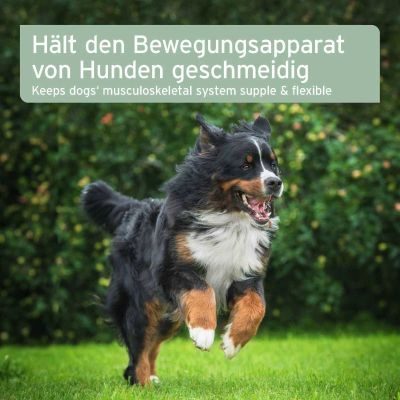 Thumbnail 6: AniForte AniForte® plus Arthro Omega Öl