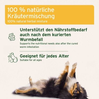 Thumbnail 5: AniForte WermiX für Hunde 250 g