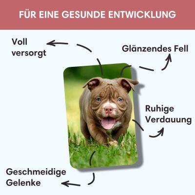 Thumbnail 5: Sollis Welpenfutter mit Lachs 6 kg