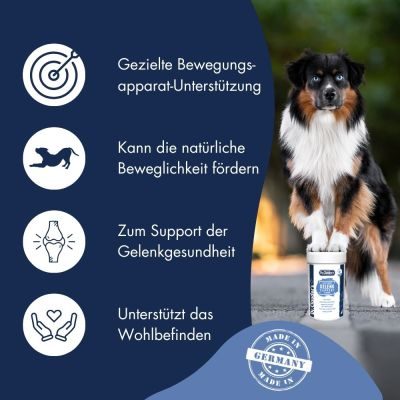 Thumbnail 4: Dr.Clauder´s Gelenk Support Pulver 500g