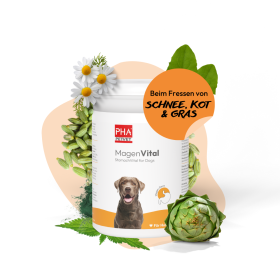 PHA PetVet - PHA MagenVital für Hunde, 200 g - Mineralfuttermittel, Pulver. Für eine ausgeglichene Magenfunktion.
