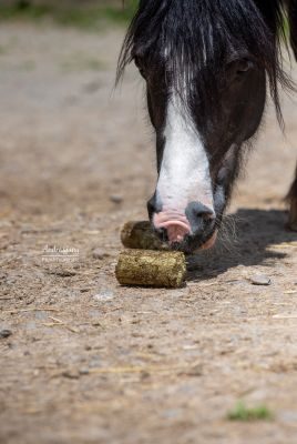Thumbnail 2: LAX LAX Wiesen Knusperstange Luzerne- Heu + Hanf  - 13  kg - 16 Stangen