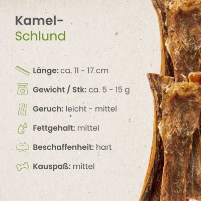 Thumbnail 3: kauartikel.com Kamel-Schlund - hypoallergener Hunde-Kauartikel - Hunde-Snack - Kausnack - Leckerli