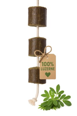 LAX Lax Luzerne Spielseil - 2er Pack - 2 kg