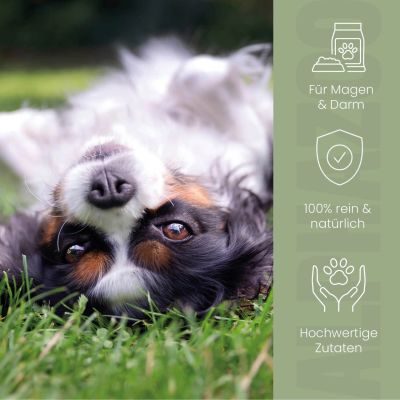 Thumbnail 6: ALPHAZOO Pupsbremse Futteröl für Hunde