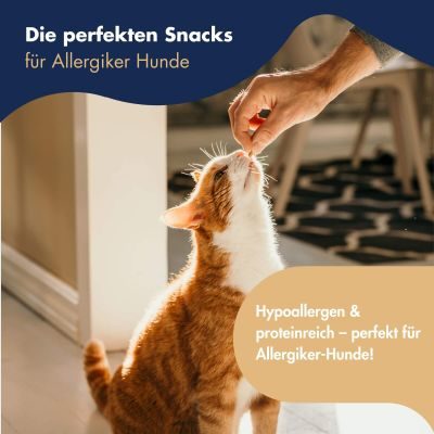 Thumbnail 5: Dr.Clauder’s Dr.Clauder´s Trainee Snack Insekt 80g