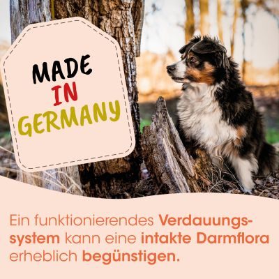 Thumbnail 4: cdVet Singulares Ulmenrinde (europäisch) 200 g – Natürliche Ergänzung für eine ausgewogene Fütterung