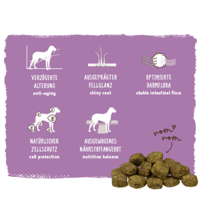 Thumbnail 7: bosch Tiernahrung HPC Senior Hundefutter – weizenfrei & gelenkschonend – 1kg