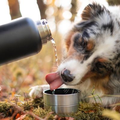 Thumbnail 6: Bobi´s Pets Bobi´s 4-in-1 Trinkflasche für Hunde - Rosa