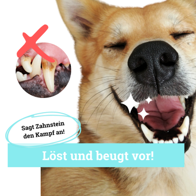 Thumbnail 2: BeG Buddy Dentalspray Hund Zahnpflege zahnweiß 150 ml