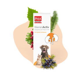 PHA PetVet - PHA NierenActiv für Hunde und Katzen 30 ml - Pflanzliche Unterstützung für Normale Nierenfunktion & zur Vorbeugung von Harnwegsinfekten